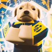 CACHORRAO's profile