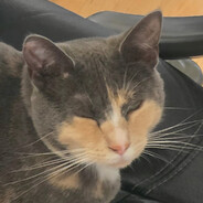 Manski's profile