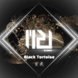 Black Tortoise